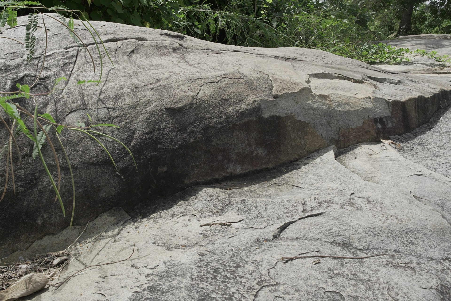 Une communauté résiliente et solidaire