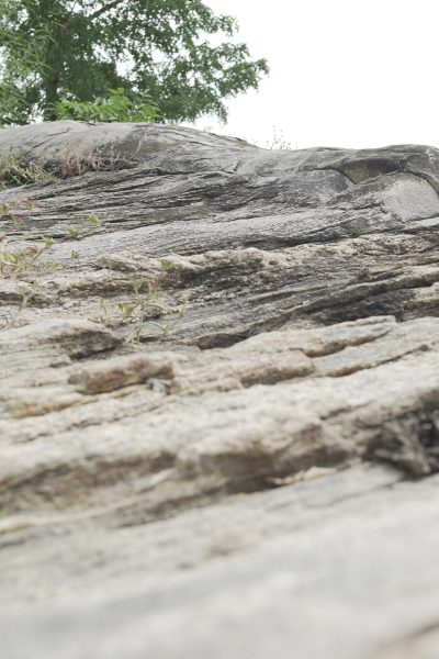 Derriere_mot_de_maire-min